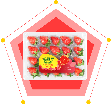 怡顆莓PFAS致癌物風(fēng)波｜SH-CIC3100B在線(xiàn)燃燒離子色譜，全覆蓋篩查果蔬全氟污染物